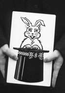 white rabbit